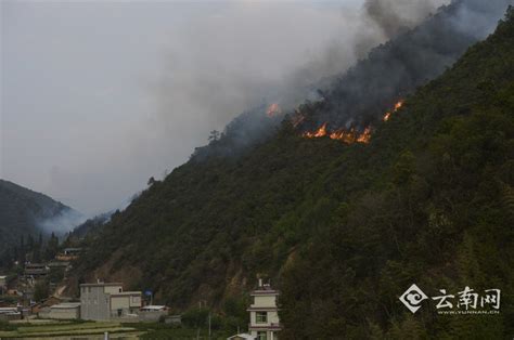 昆明盘龙区发生山火，驻地森林消防队伍紧急救援