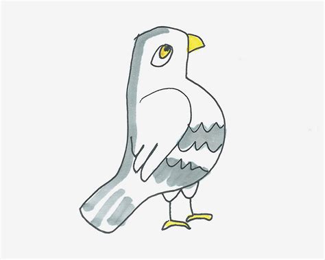 100种儿童简笔画教程 色彩鸽子怎么画💛巧艺网