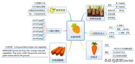 胡萝卜的英文单词（索思英语解码单词（第86个）——carrot胡萝卜） | 说明书网