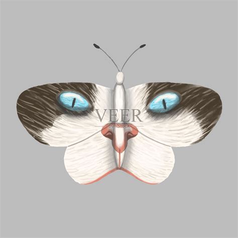 蝴蝶猫是眼睛。向量孤立插画图片素材_ID:423795273-Veer图库