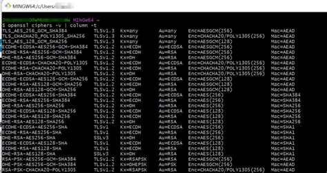 查询 HTTPS 网站 TLS 版本_查看网站tls版本-CSDN博客