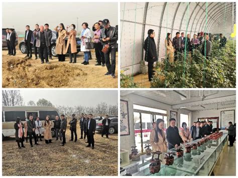 2019年国家现代农业产业园创建名单-江苏思威博生物科技有限公司