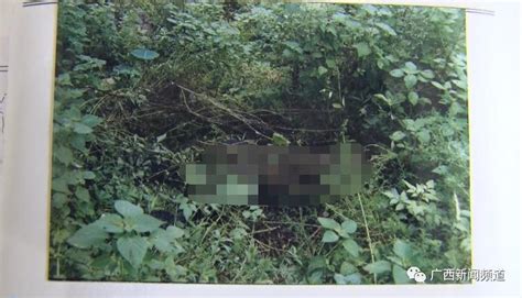 广西一13岁少年杀害同村三姐弟 将尸体弃在废井-第4页-新闻热点-金投热点网-金投网