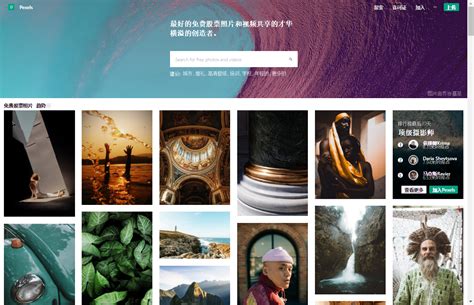 p网站图片