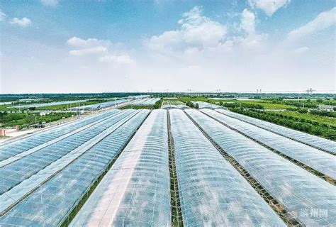 滨州，3000亿级的农业产业集群是怎样炼成的？-新华网