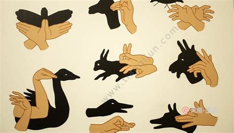 兔子手影图片