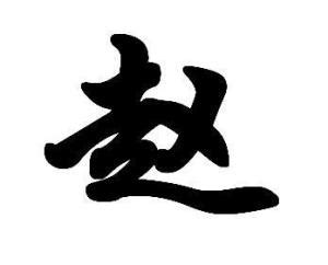 非主流赵字头像