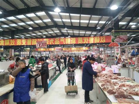 水族夜市适合去哪里旅游，天津哪里有观赏鱼批发市场