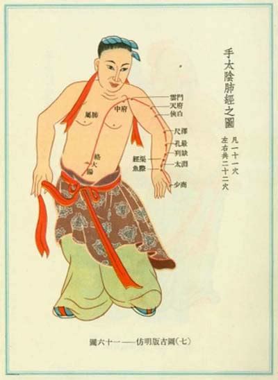 手太阴肺经经络图图片 手太阴肺经经络图图片