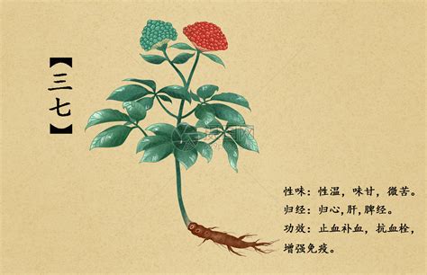 【收藏】148种常考中草药图例