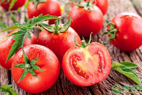 西红柿多少钱一斤？种植前景如何？西红柿的功效与作用了解一下吧 - 惠农网