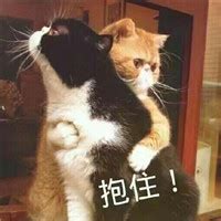 抱抱你表情包图片