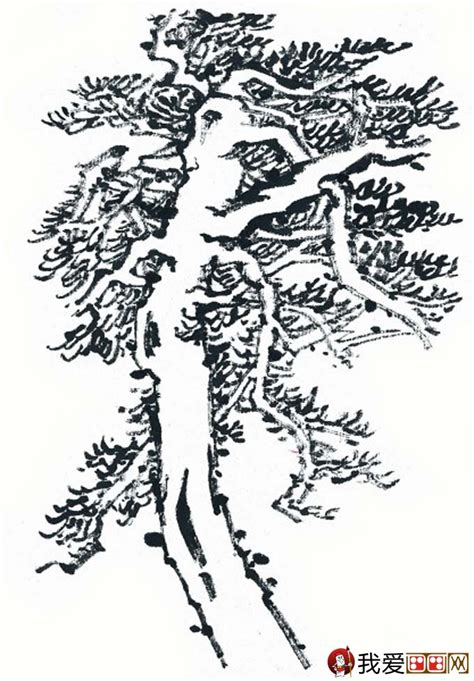 国画松树的画法：松柏松树水墨画图片大全之设色篇54