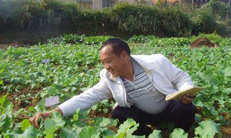 试验日记写了23本 农家父子传承"油菜梦" - 视点头条 - 湖南日报网 - 华声在线
