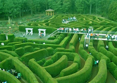 世界上最著名的十个植物迷宫，让你体验不一样的综合体-绿宝园林网