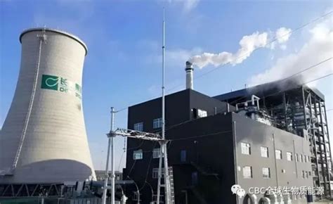 年吞秸秆35万吨，发电2.8亿度 黑龙江宾县生物质热电联产项目投产-国际新能源网