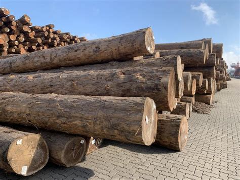 正材网-一个教您在网上做木材生意的木业平台 - 知乎