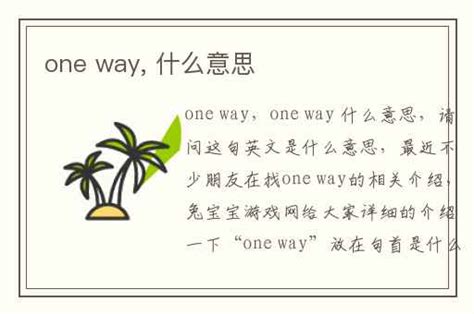 one way, 什么意思-兔宝宝游戏网