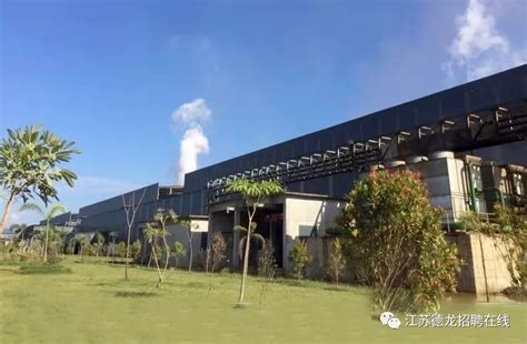 南京钢铁集团--海外印尼焦炭项目招聘 - 知乎