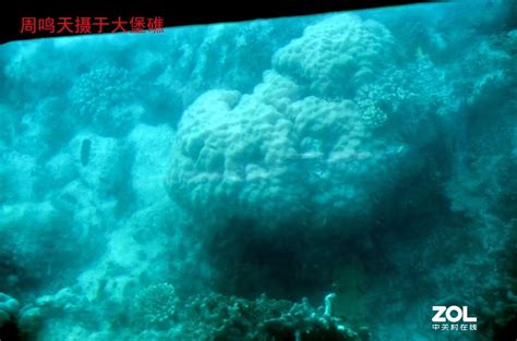 澳洲大堡礁摄影游记 周鸣天-中关村在线摄影论坛