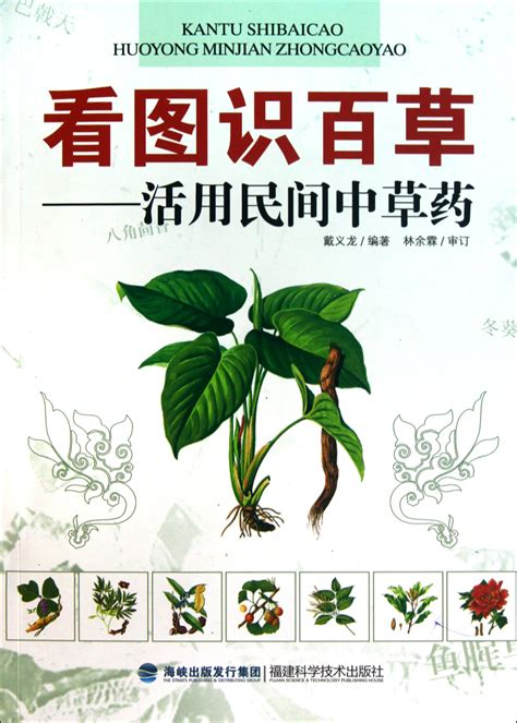 看图识百草_民间野生草药图片大全_微信公众号文章