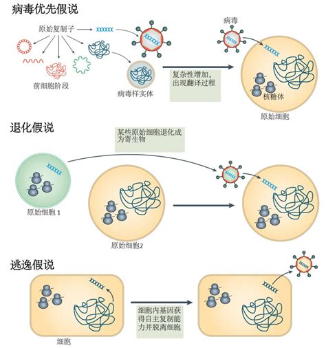 华山医院张文宏教授团队证实血清HBV-RNA可成为功能性治愈HBV新指标 -- 其他 -- 中国重肝网 -- Powerd by Jspxcms