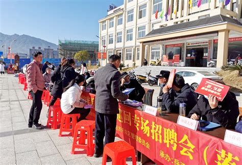 岳西县2021年乡镇巡回专场招聘会（莲云站）成功举办 - 岳西县公共就业和人才服务局