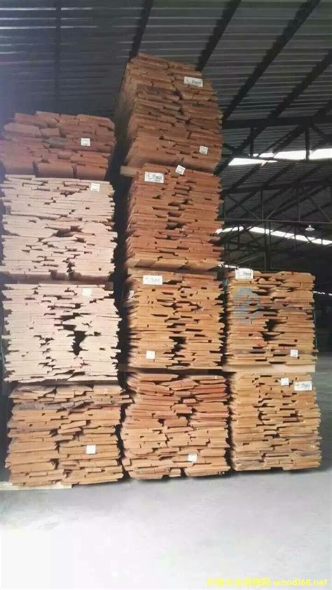 欧洲全进口榉木板材，规格厚度长度齐全 - 批木网