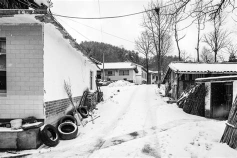 农村下雪了,一夜下了20公分厚,家家户户都出动扫雪_新浪新闻