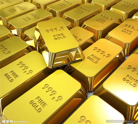 黄金海 的图像结果