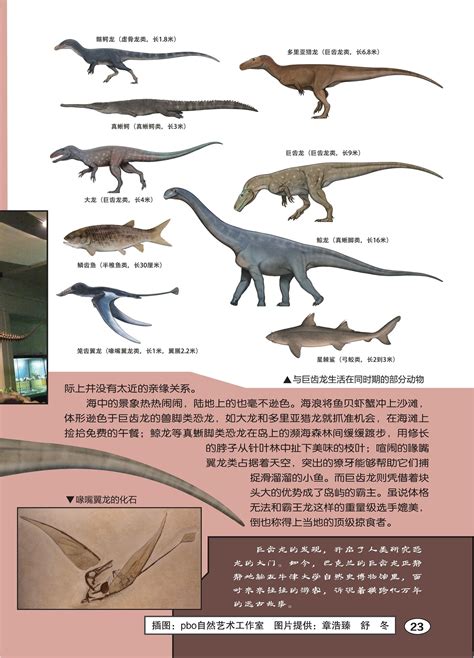大海解说侏罗纪世界国际服：30级巨齿龙，大战安德鲁兽_腾讯视频
