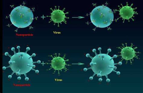 新冠病毒的进化速度-健康界