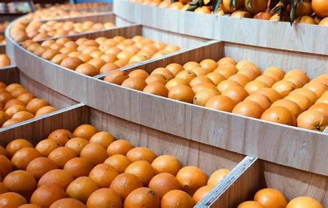 2021赣南脐橙博览会盛大开幕！ | 赣州市政府信息公开