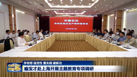 喻宝才出席国际氢能理事会CEO年会并会见合作伙伴_中国石化网络视频