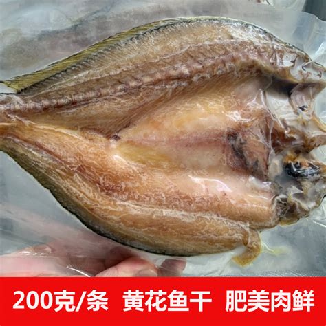 柴鱼图片