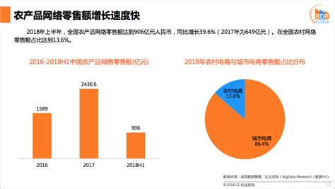 32页PPT：2018年中国农村电商行业发展报告 - 物流指闻