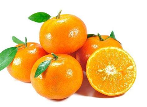广西武鸣沃柑什么时候成熟上市-沃柑-品种-柑橘问答