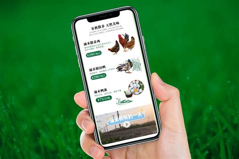 涌禾农场农产品电商有赞手机商城策划设计-上海网站设计建设公司-尚略