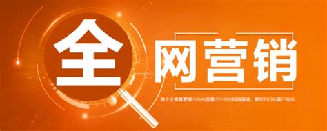 全网霸屏整合营销推广_上海纯点网络科技有限公司-专注网站建设、网站维护、微信公众号开发运营