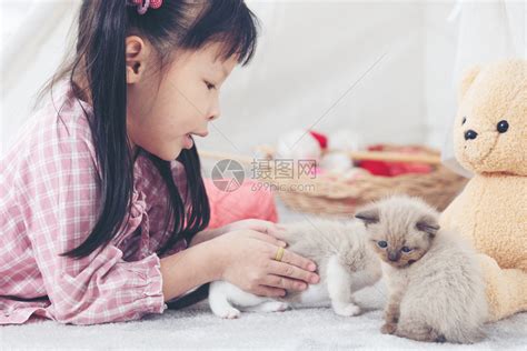 在家里玩猫的小姑娘朋友船概念c在家玩猫朋友船概念小猫孩子女们高清图片下载-正版图片307880046-摄图网