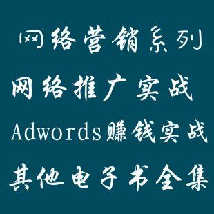 王通全集 seo教程 网络营销实战 google adwords相关系列等合集 | 好易之