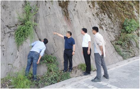 项目管理_中国地质调查局成都地质调查中心