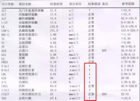肝功能五项检查多少钱（教你看懂肝功能检查单） - 上海资讯网