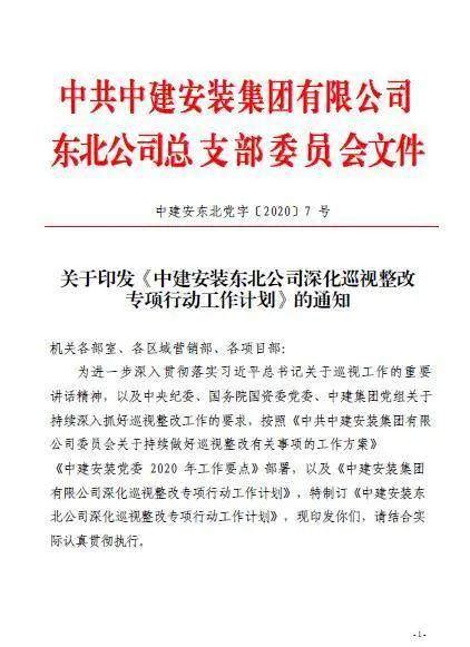 六专监督丨抓实抓细监督责任，推动“六个专项行动”落地生根_东北公司