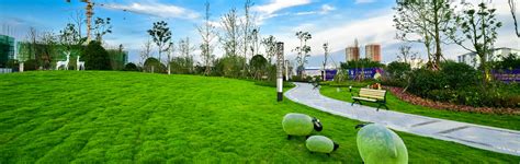 苏州绿植租赁，我们根据客户现场，给客户直观易懂的植物摆放设计方案。