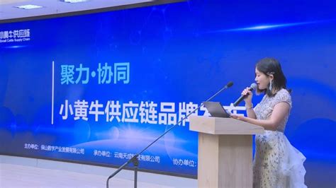 中国电信保山分公司：发挥网络优势 助推电商发展