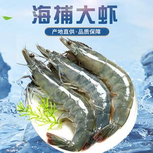 新鲜大虾鲜活超大基围虾青岛海虾冷冻青虾对虾海鲜水产2030盐冻虾-淘宝网