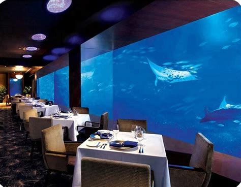 海洋馆餐厅设计 - 北京雅瑞海洋