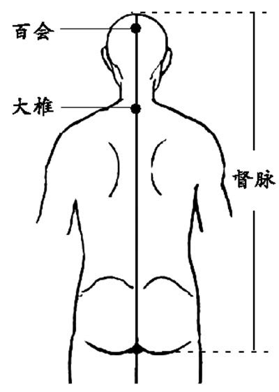 督脉经络图,任脉督脉走向图,阳跷脉的准确位置图(第12页)_大山谷图库