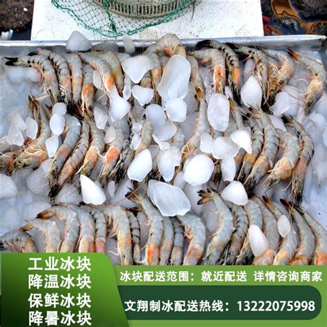 冰底新鲜生海产鱼虾食品市场上壳虾蟹高清图片下载-正版图片305843271-摄图网